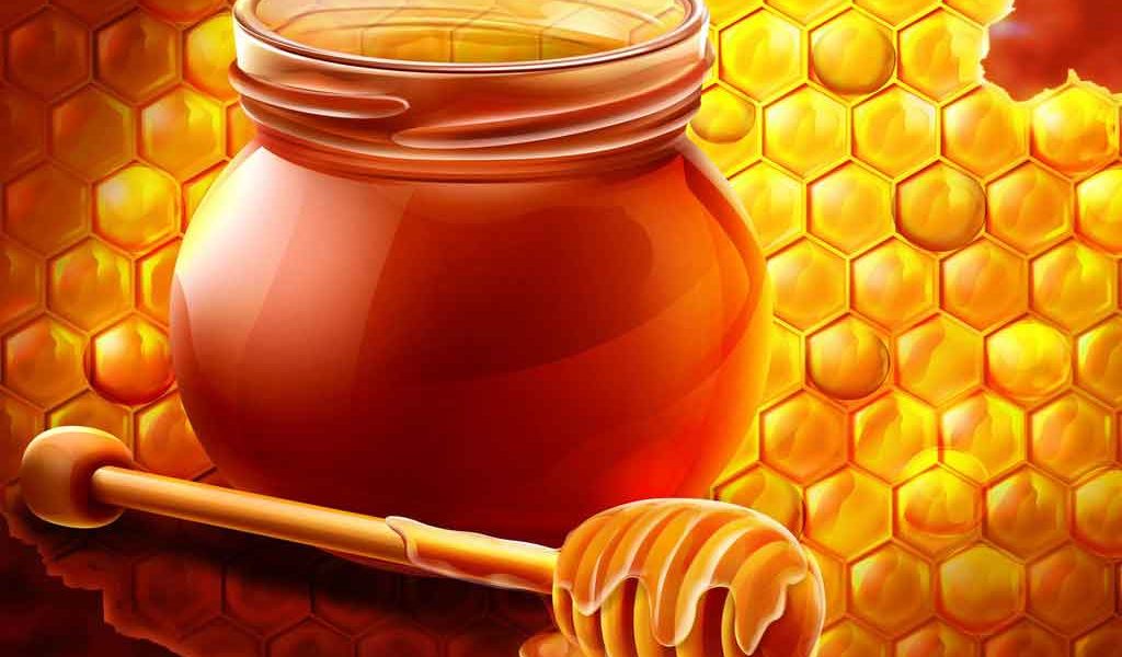 الجنسنج-و-العسل